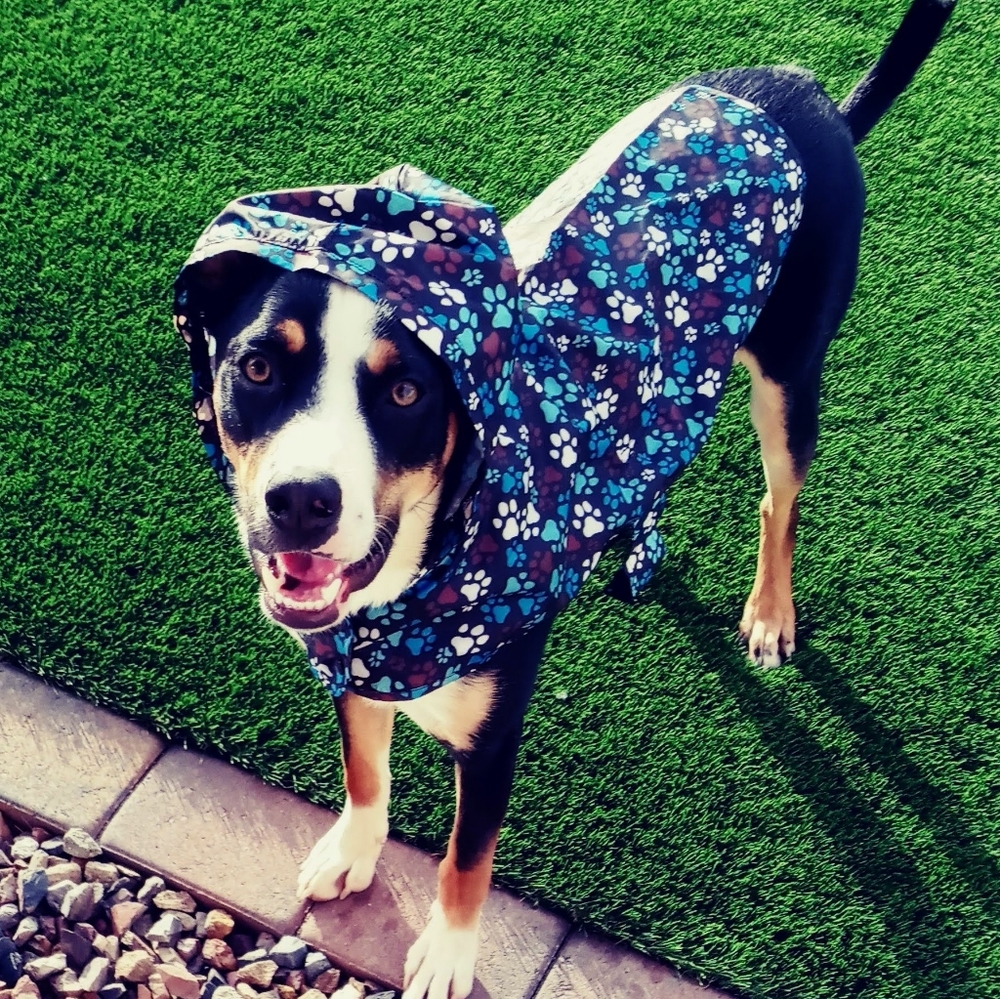 RC Pets Packable Dog Raincoat Poncho Large
